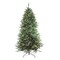 Northlight Real Touch™️ Pre-Lit Full Washington Frasier Fir Artificial Christmas Tree - 6.5' - Clear Lights